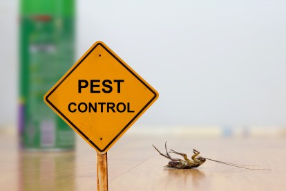 Pest Contol in Chertsey, Ottershaw, Longcross, KT16. Call Now 020 8166 9746