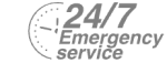 24/7 Emergency Service Pest Control in Chertsey, Ottershaw, Longcross, KT16. Call Now! 020 8166 9746
